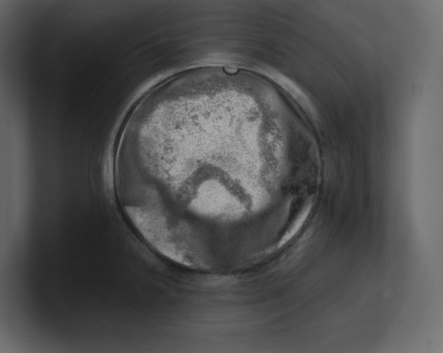 X0000100931238200807151237