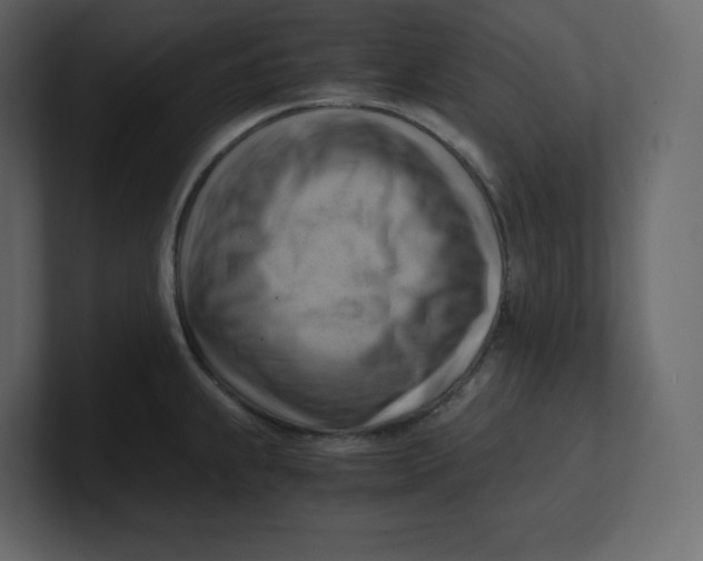 X0000100931239200807151237