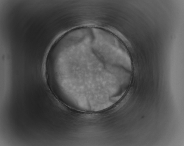 X0000100931240200807151237