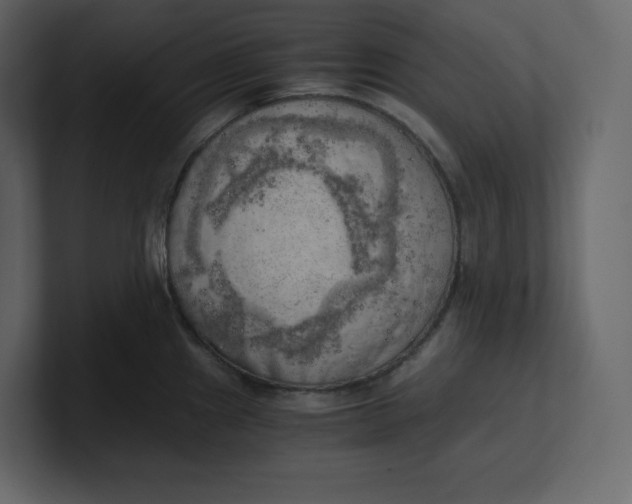 X0000100931241200807151237