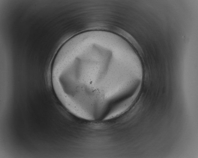 X0000100931242200807151237