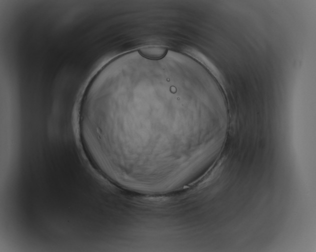 X0000100931243200807151237