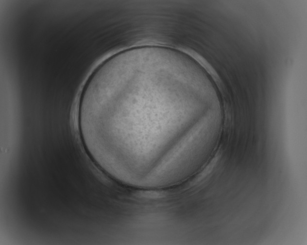 X0000100931246200807151237