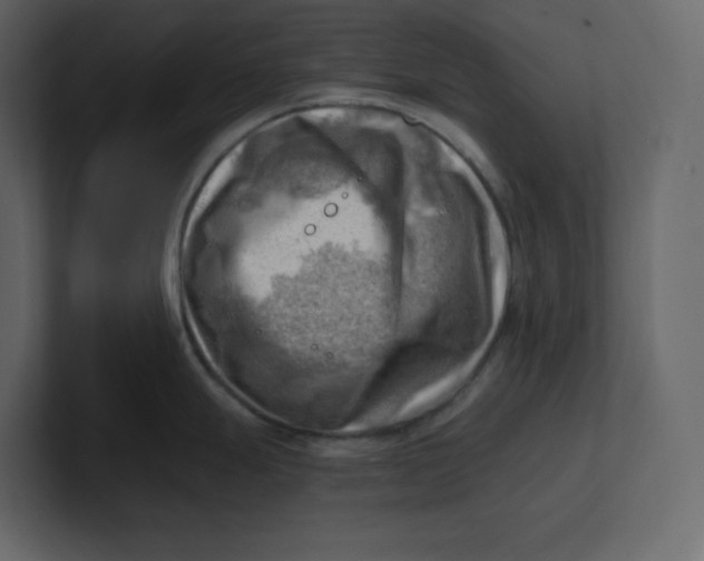 X0000100931247200807151237