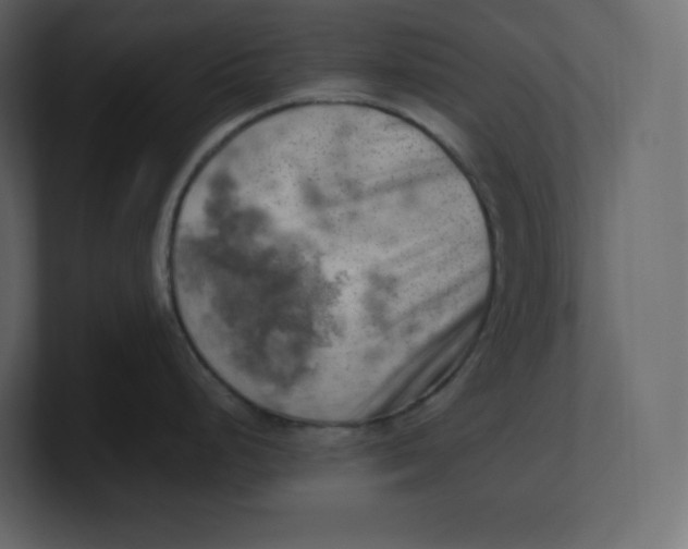 X0000100931248200807151237