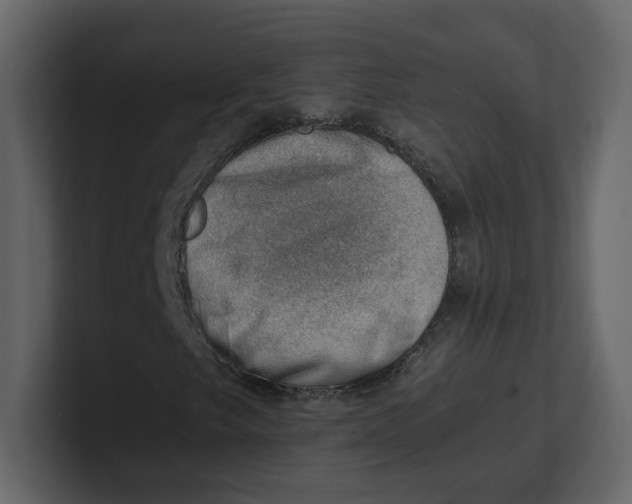 X0000100931249200807151236