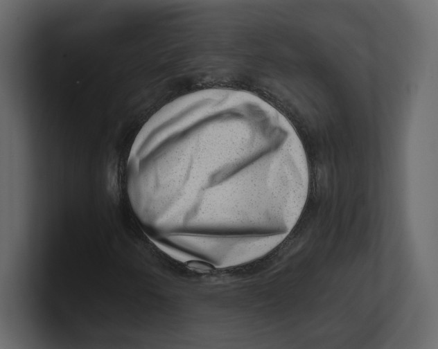 X0000100931250200807151236