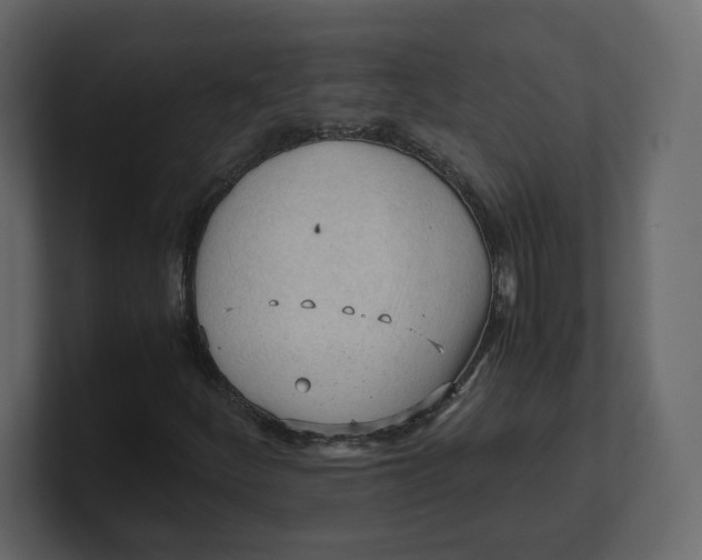 X0000100931252200807151236