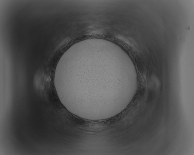 X0000100931254200807151236