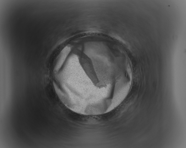 X0000100931255200807151236