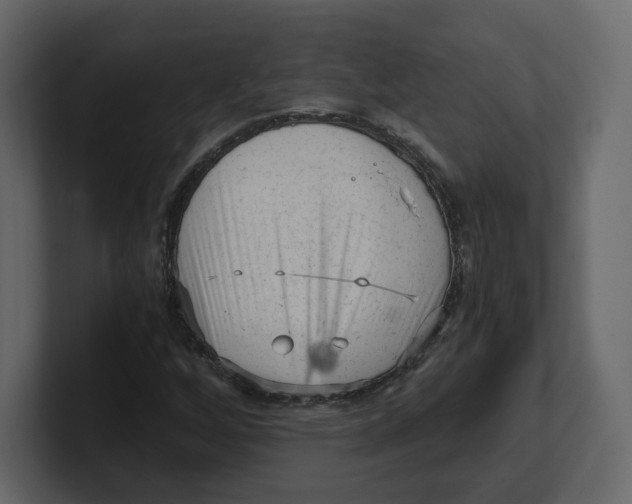 X0000100931256200807151236