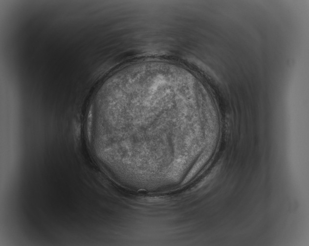 X0000100931257200807151236