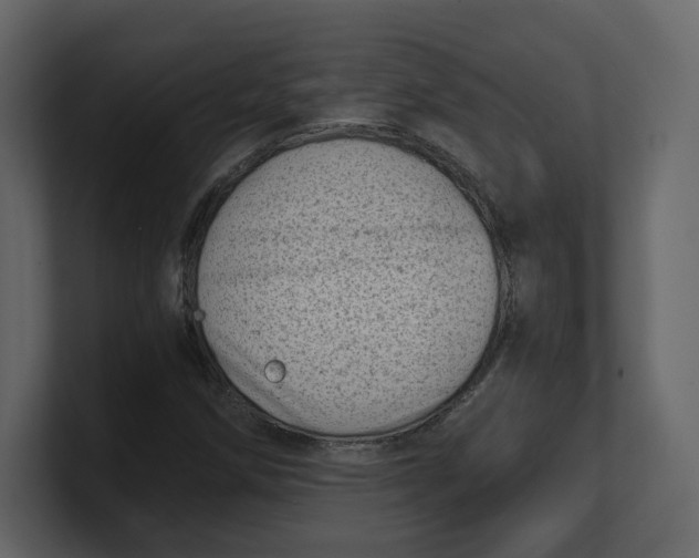 X0000100931258200807151236