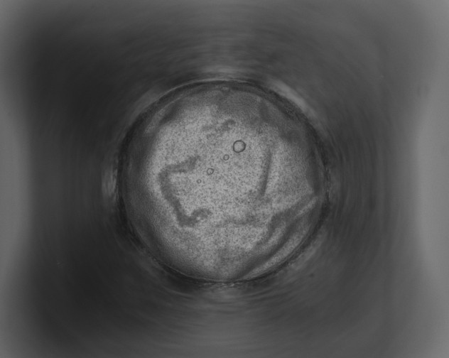 X0000100931259200807151236