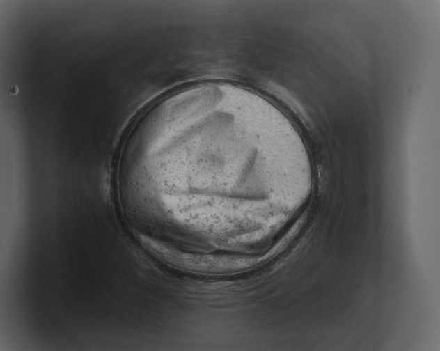 X0000100931260200807151236