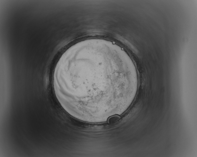 X0000100931261200807151236