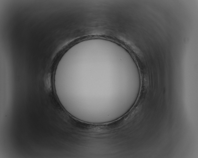 X0000100931262200807151236