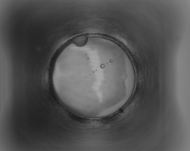 X0000100931263200807151236