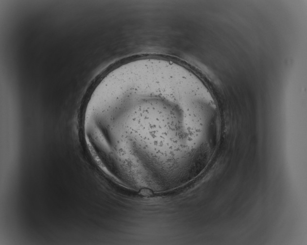 X0000100931264200807151236