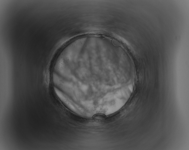 X0000100931267200807151236