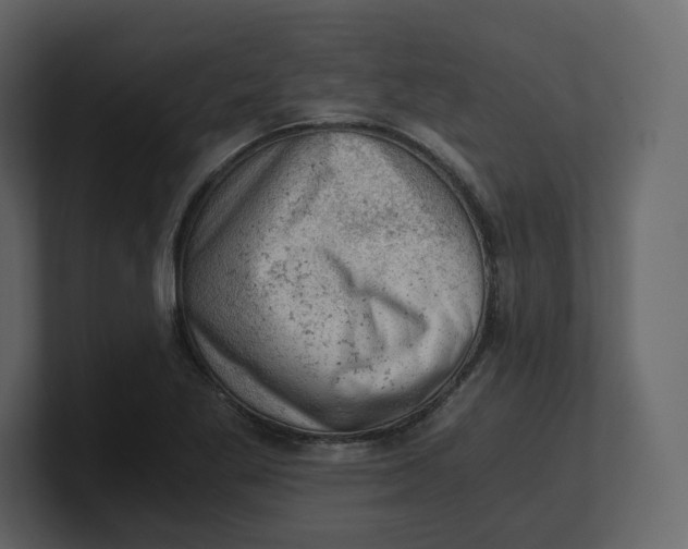 X0000100931269200807151236