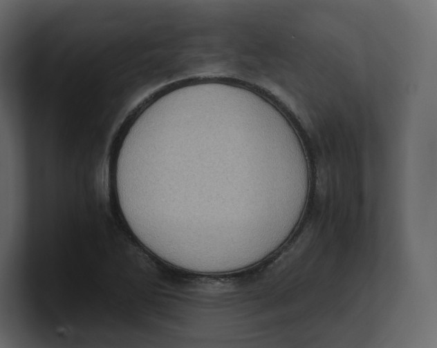 X0000100931270200807151236