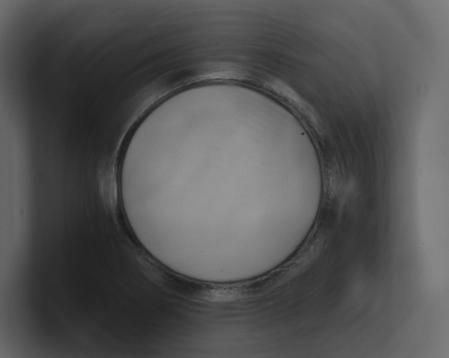 X0000100931274200807151236