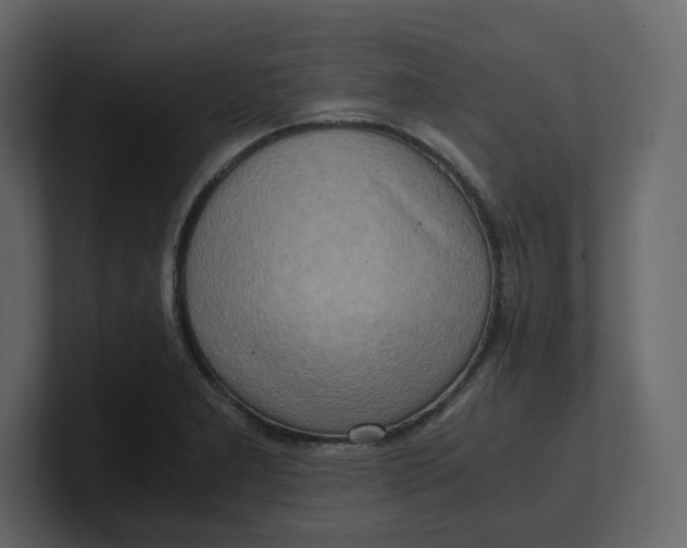 X0000100931277200807151236