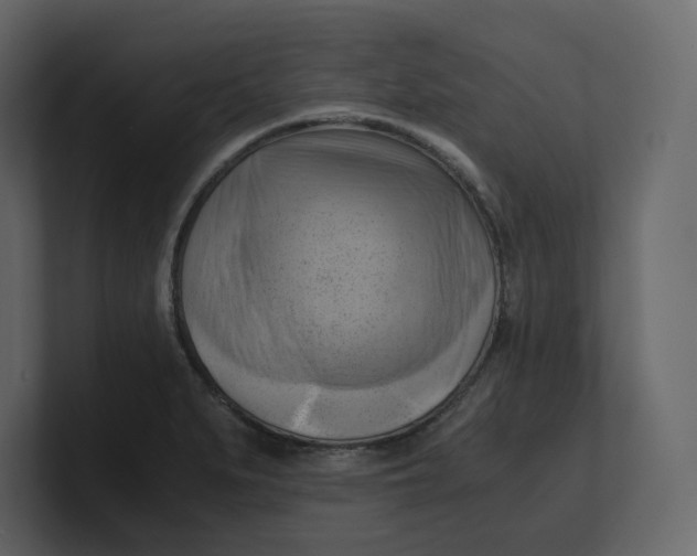 X0000100931279200807151236