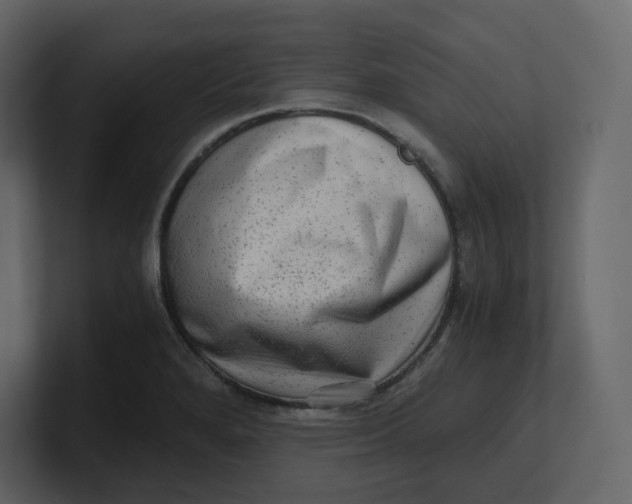 X0000100931280200807151236