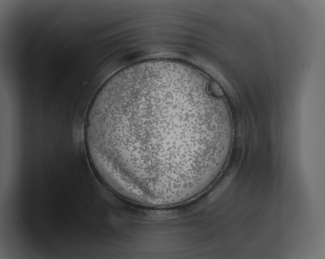 X0000100931281200807151236