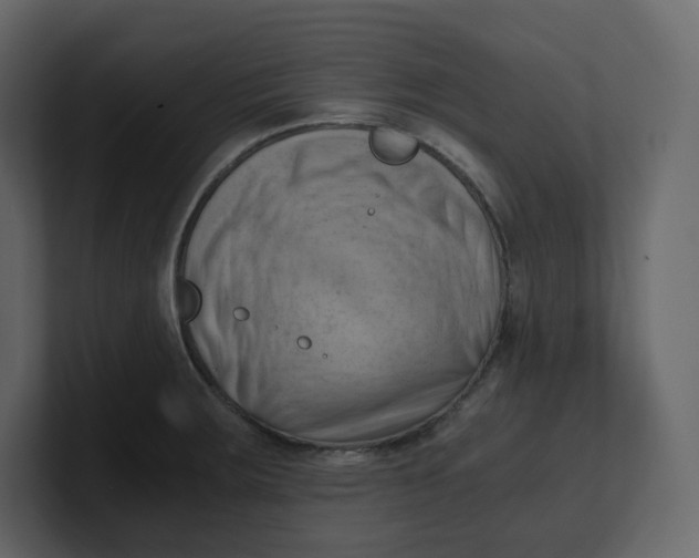 X0000100931283200807151236