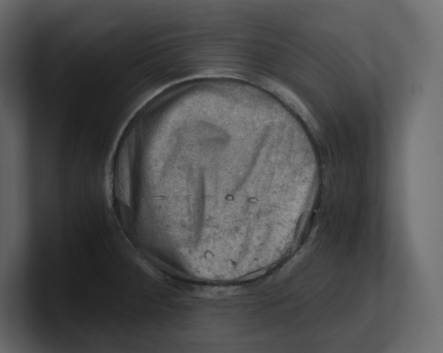 X0000100931284200807151236