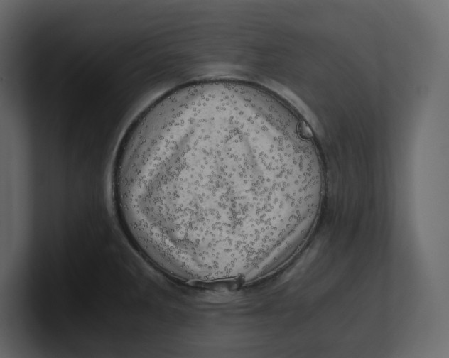 X0000100931285200807151236