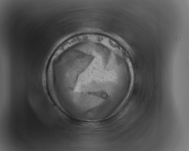 X0000100931287200807151236