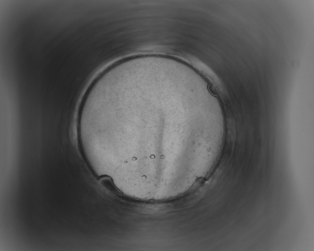 X0000100931288200807151236