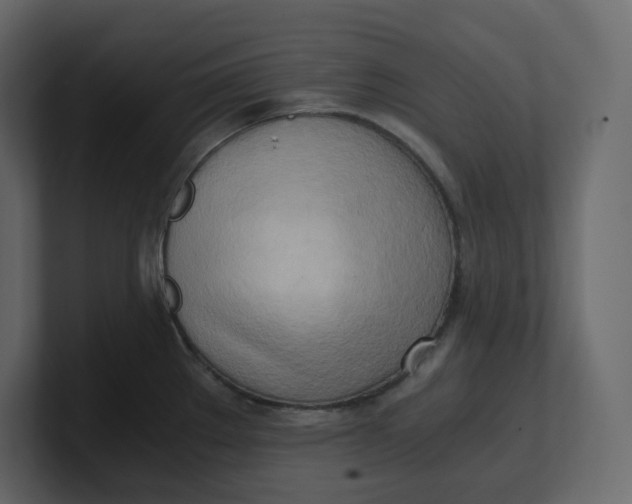 X0000100931289200807151236