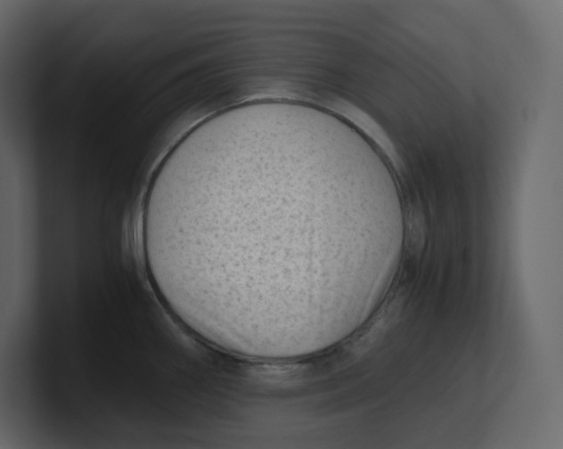 X0000100931290200807151236