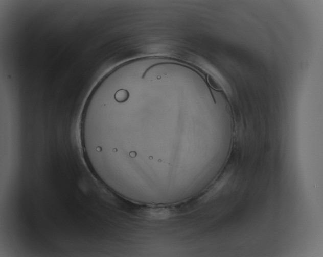 X0000100931291200807151236