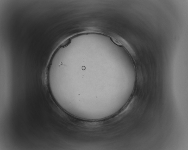 X0000100931292200807151236