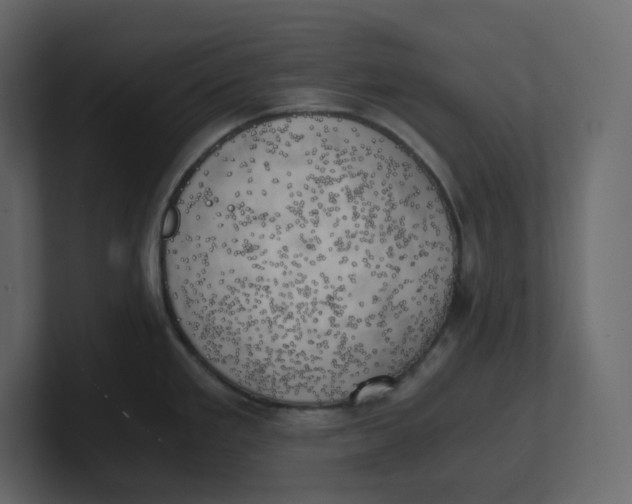 X0000100931293200807151236