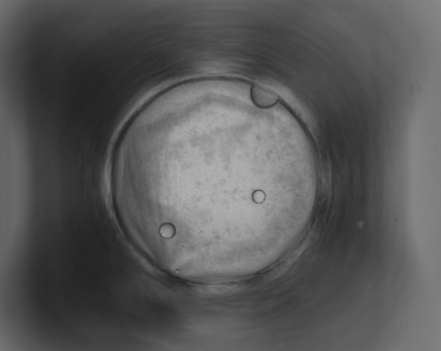 X0000100931294200807151236