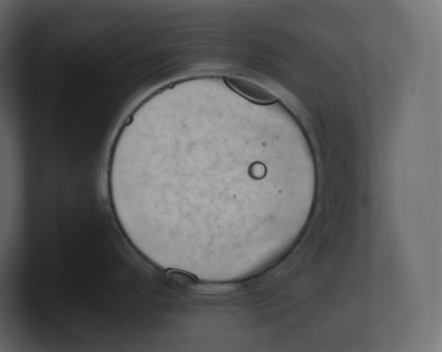 X0000100931296200807151236