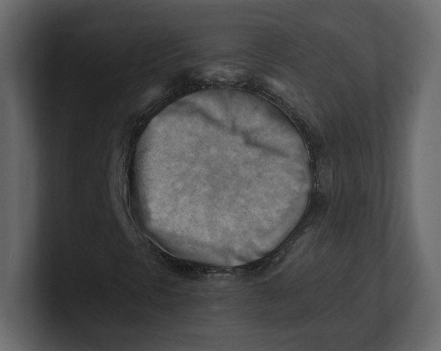 X0000100931297200807151235