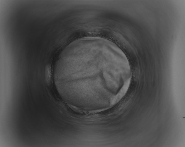 X0000100931298200807151235