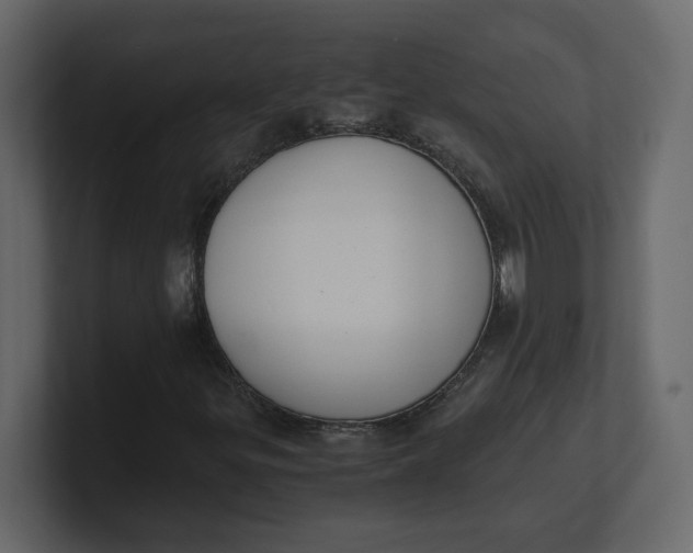 X0000100931299200807151235