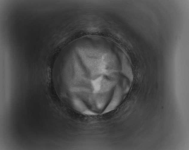 X0000100931301200807151235