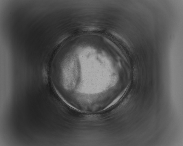 X0000100931305200807151235