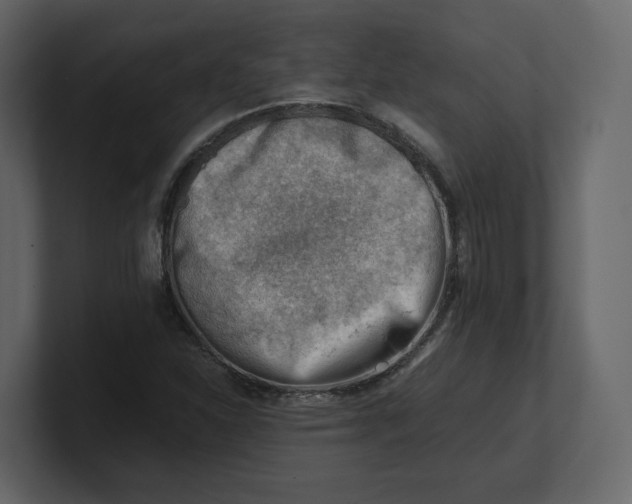 X0000100931310200807151235