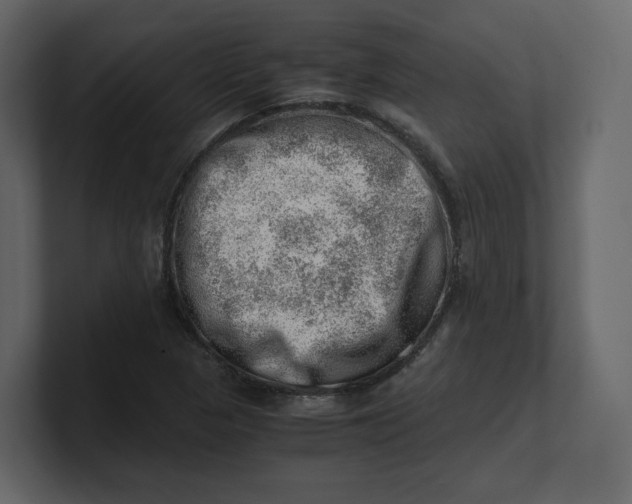 X0000100931313200807151235